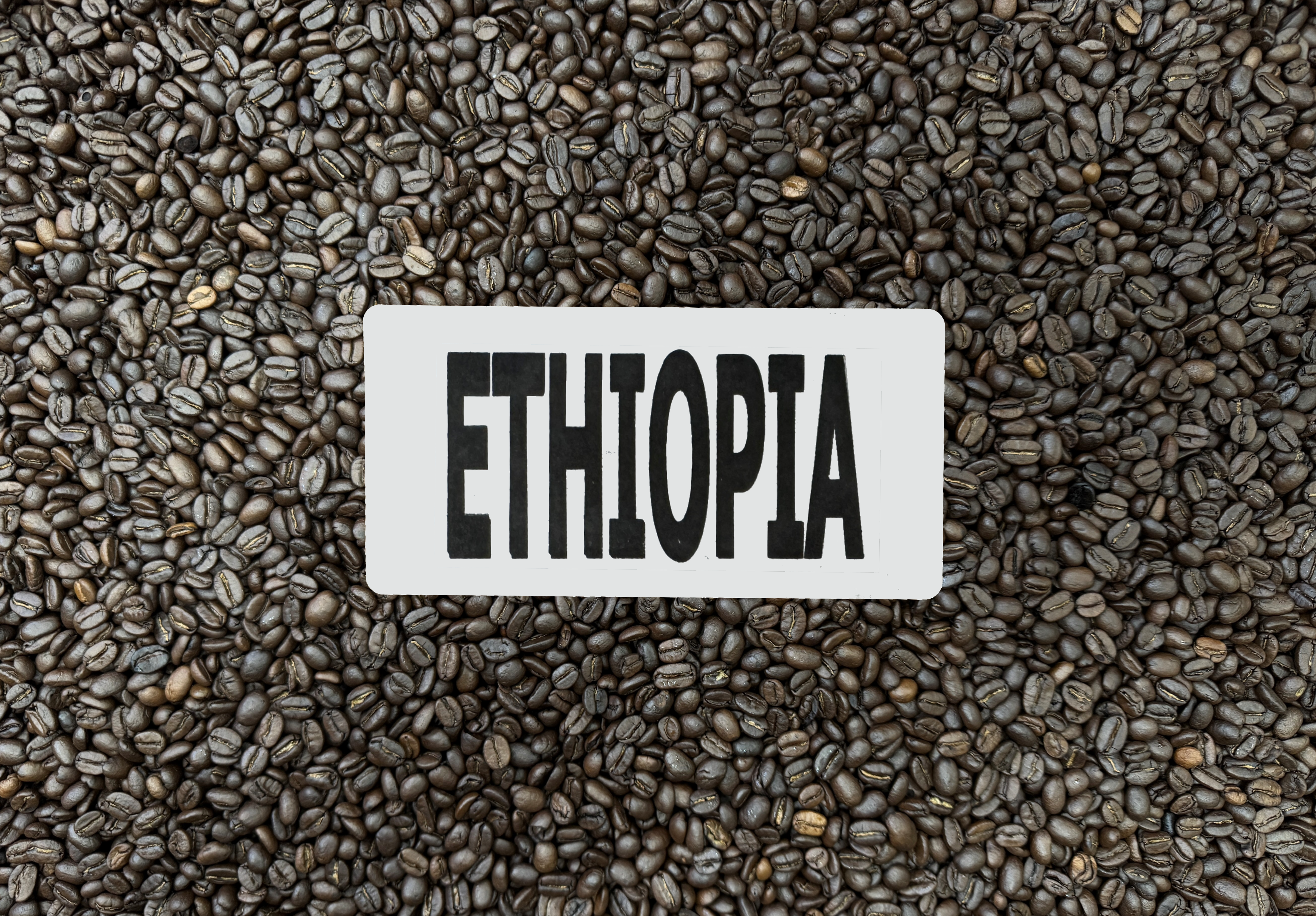 Ethiopia Sidama